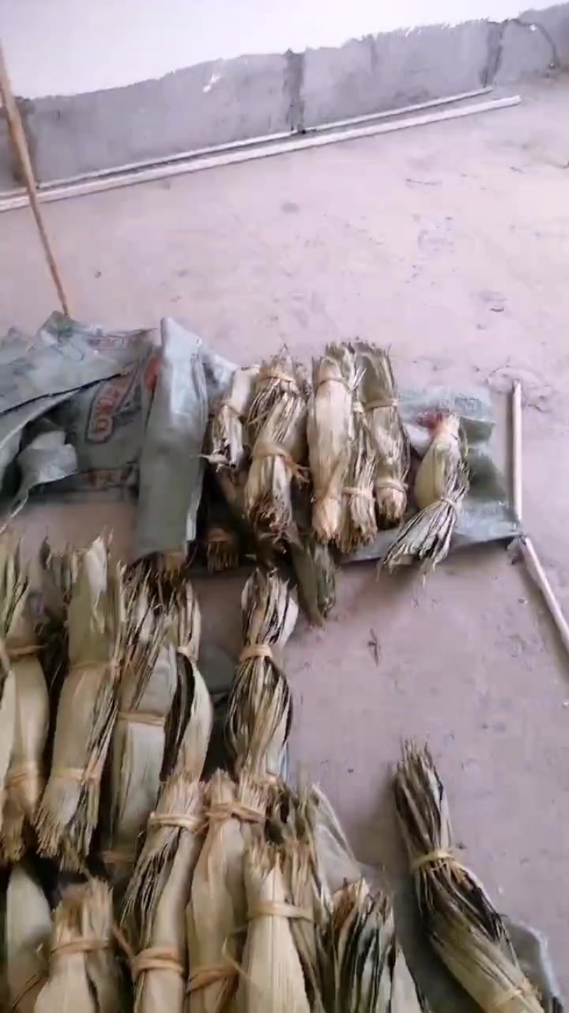 全干的粽子叶，需要的老板联系我