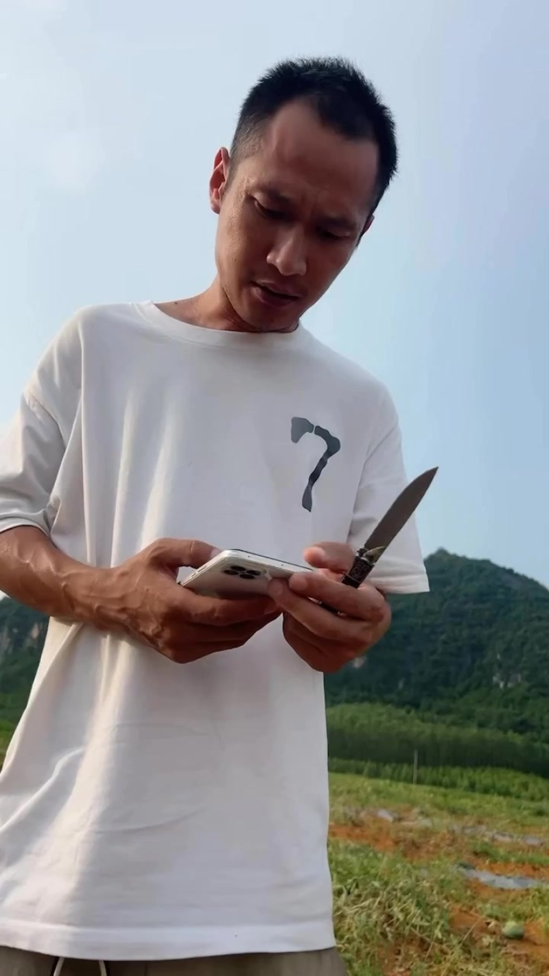 黑美人
