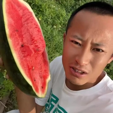 黑美人