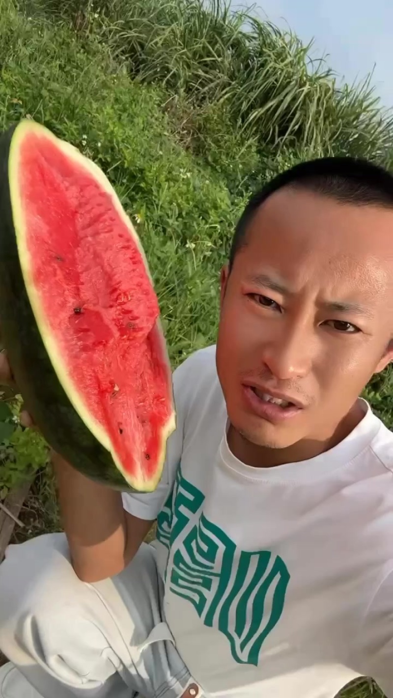 黑美人