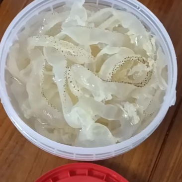 海蜇丝