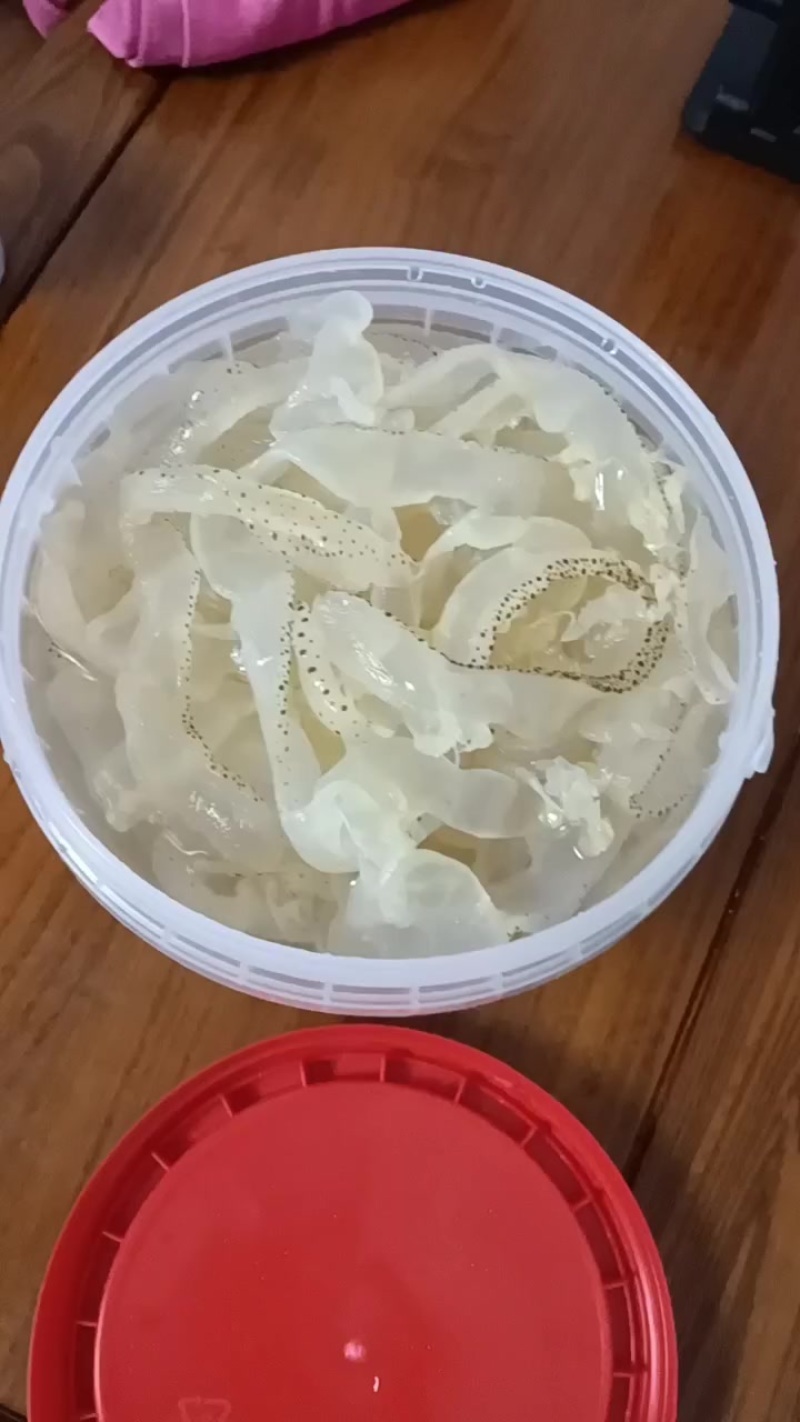 海蜇丝