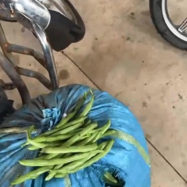 大量供应电商货，四季豆每天出货30吨