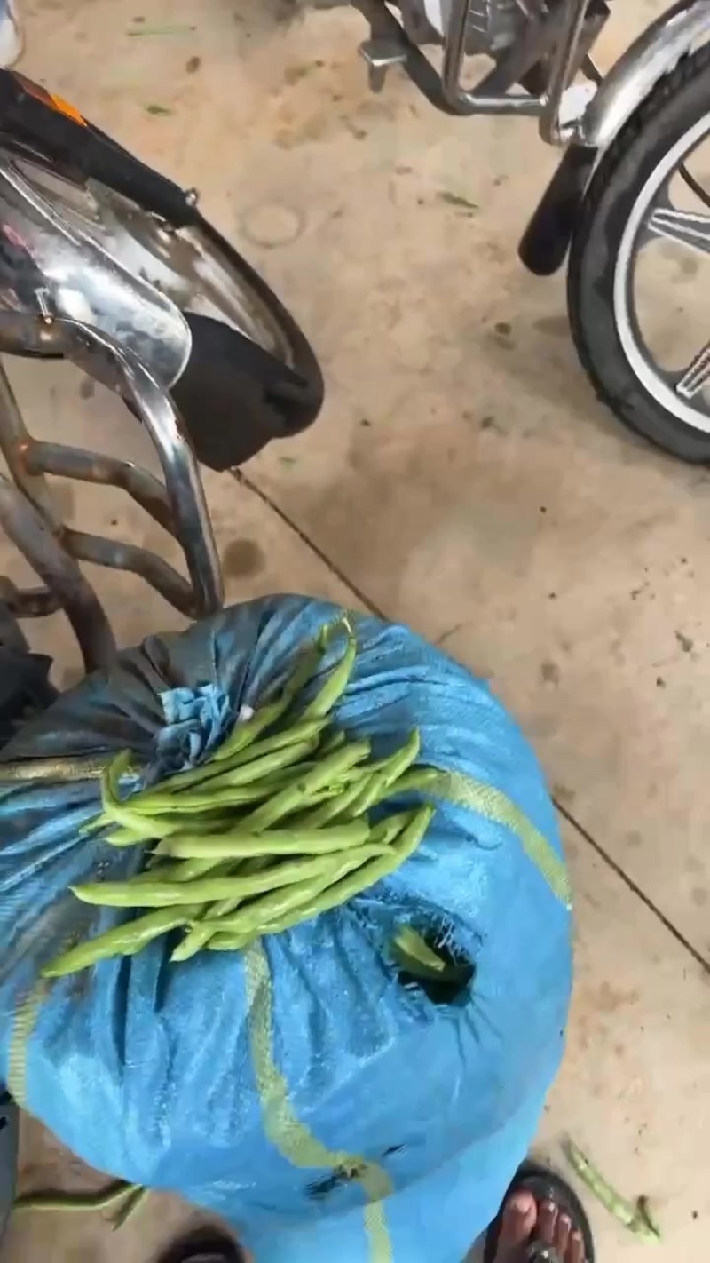 大量供应电商货，四季豆每天出货30吨