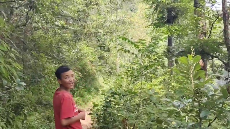 养殖鸡鸭猪牛羊都可以