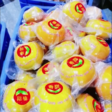 欢迎有实力的老板来对接