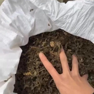 梅干菜，电商货，精品