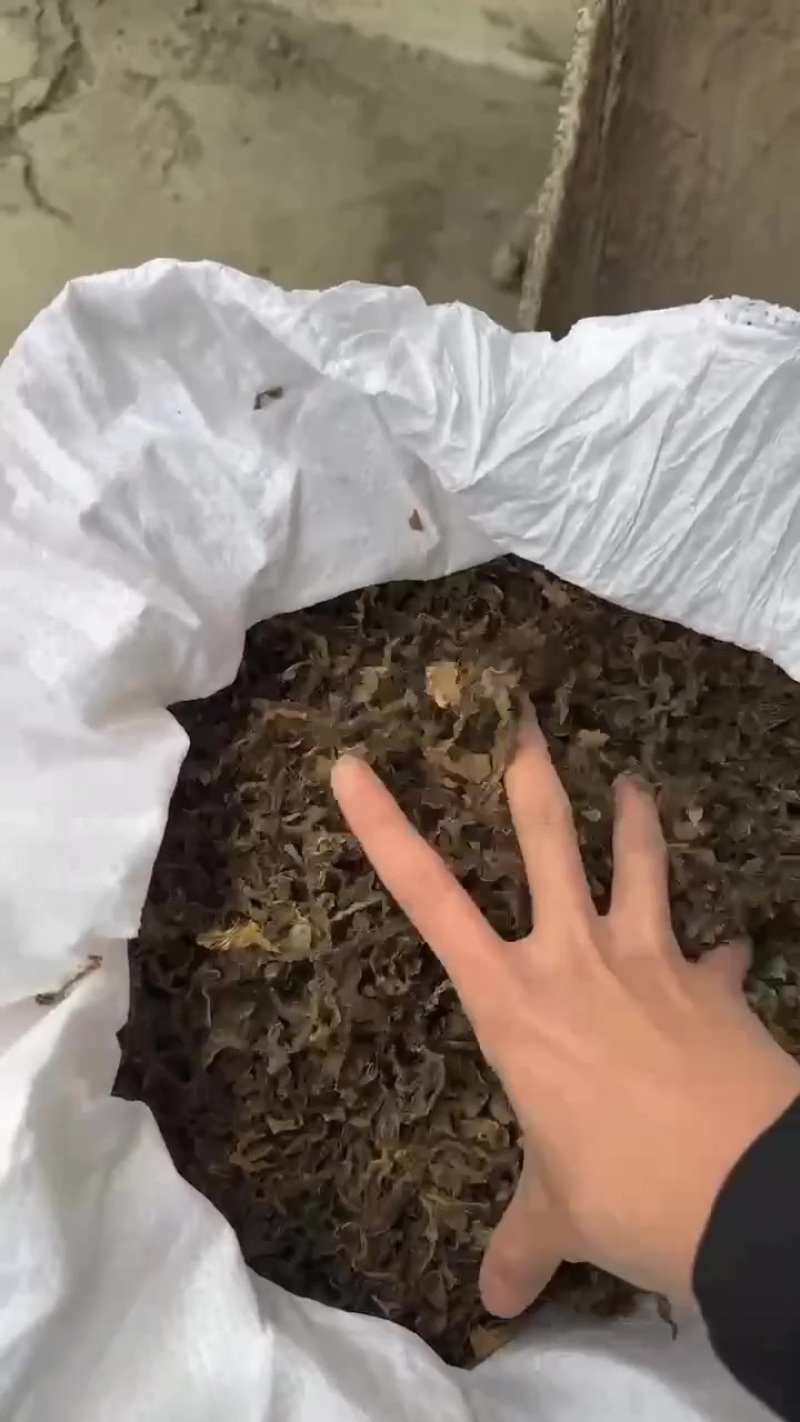 梅干菜，电商货，精品