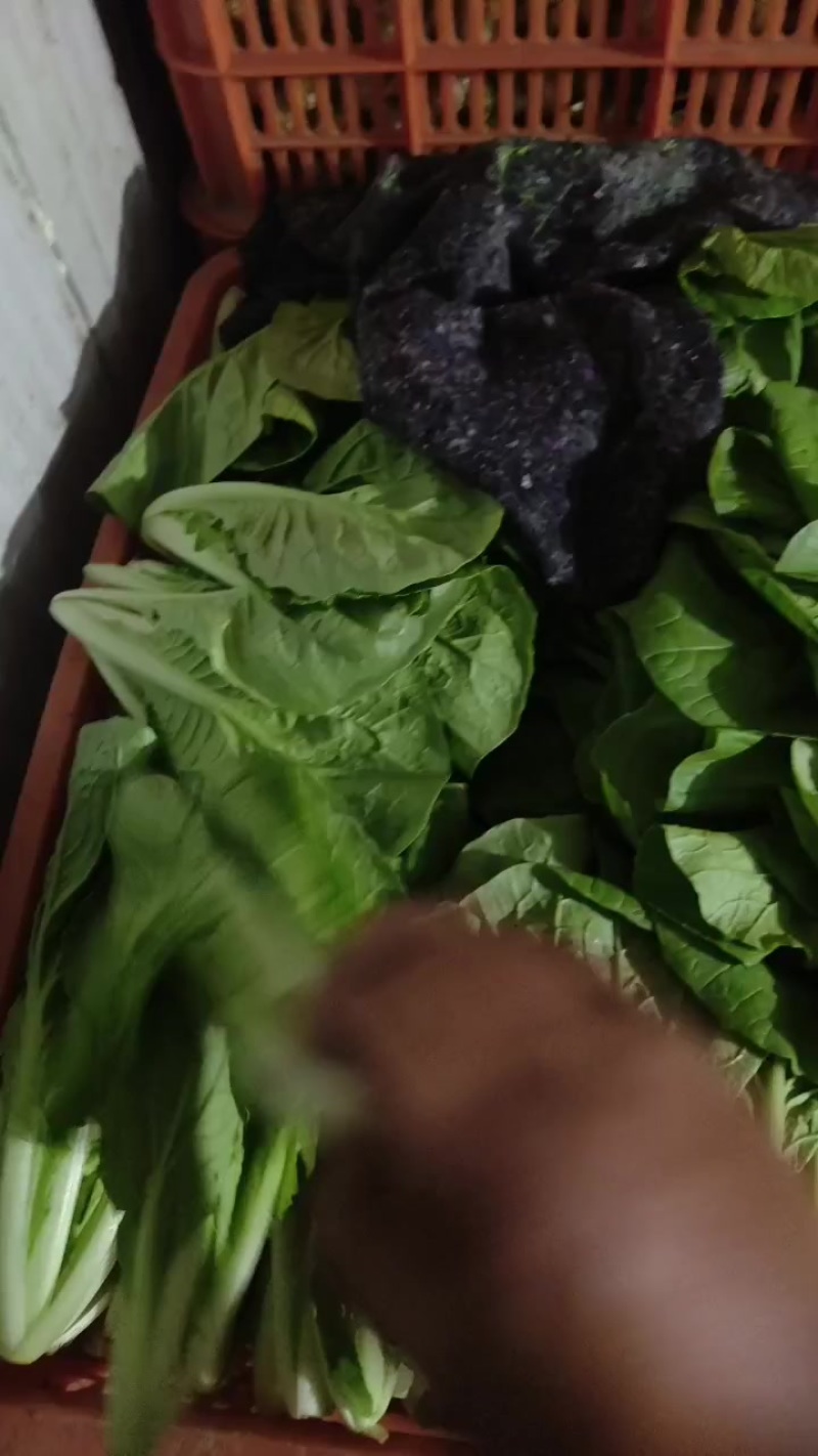 奶油白菜