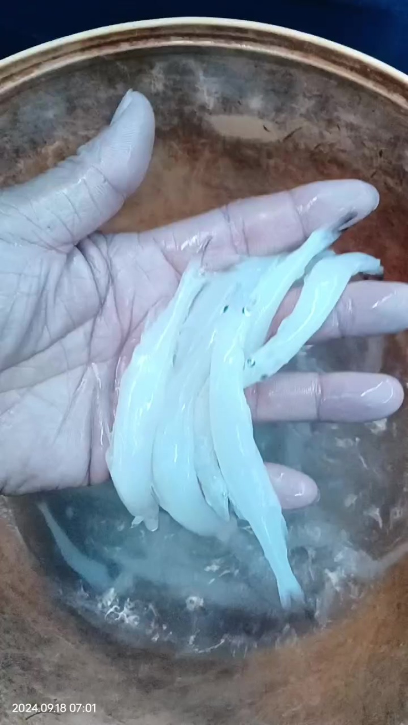 特意留出来做的实验，第三天的质量。依旧嘎嘎的。
