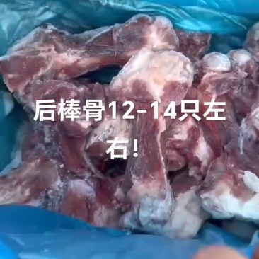 大棒骨