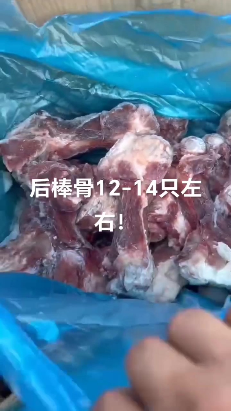 大棒骨