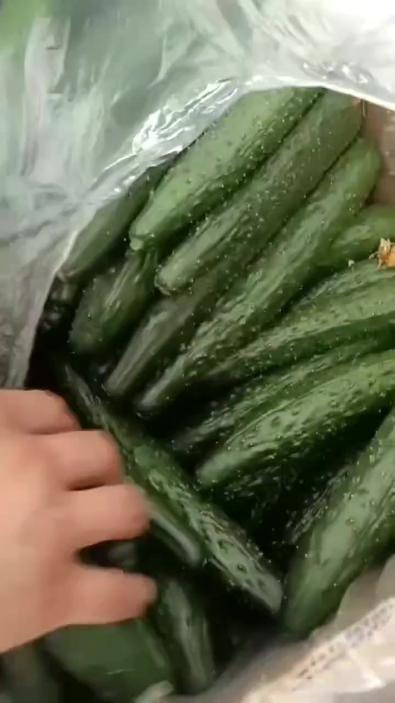黄瓜