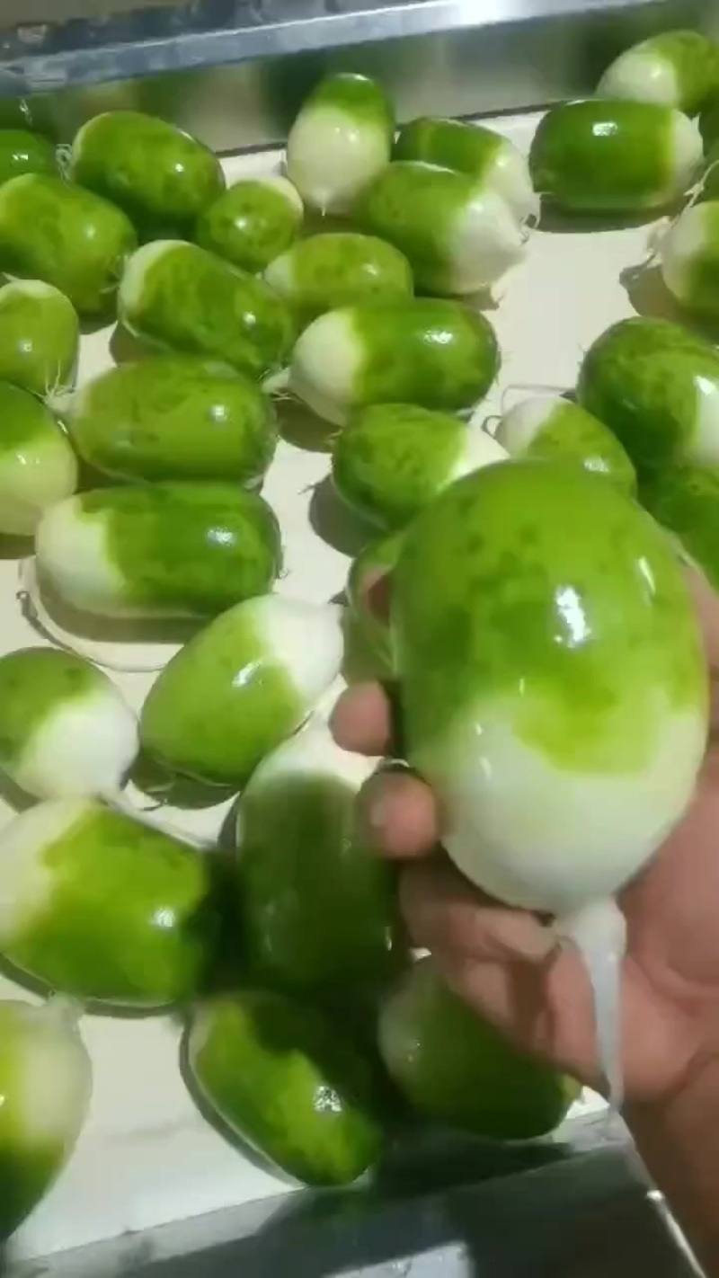 萝卜
