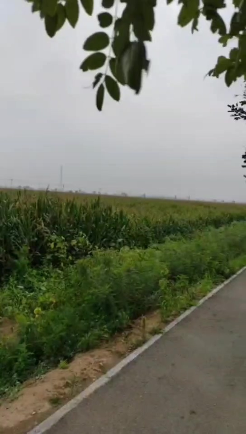 土地流转