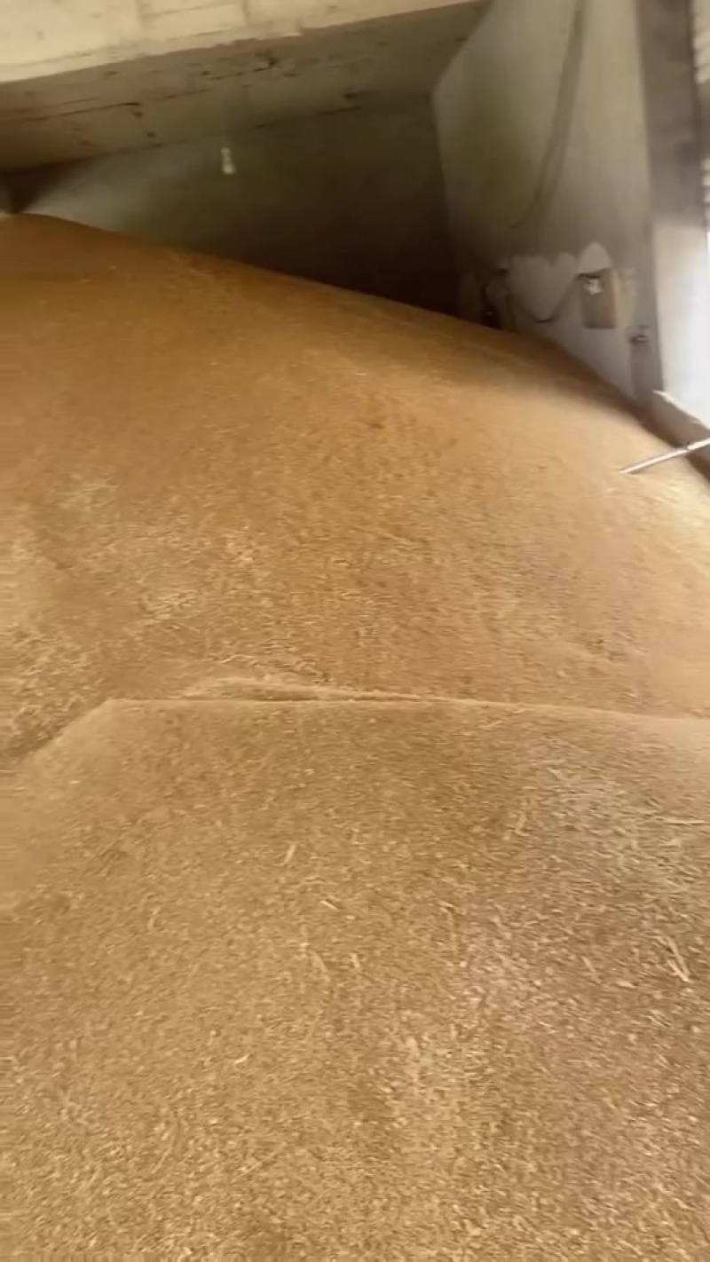 小麦