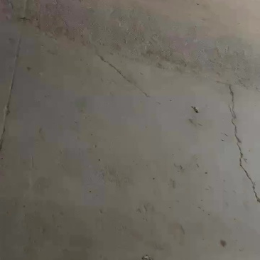 洋葱
