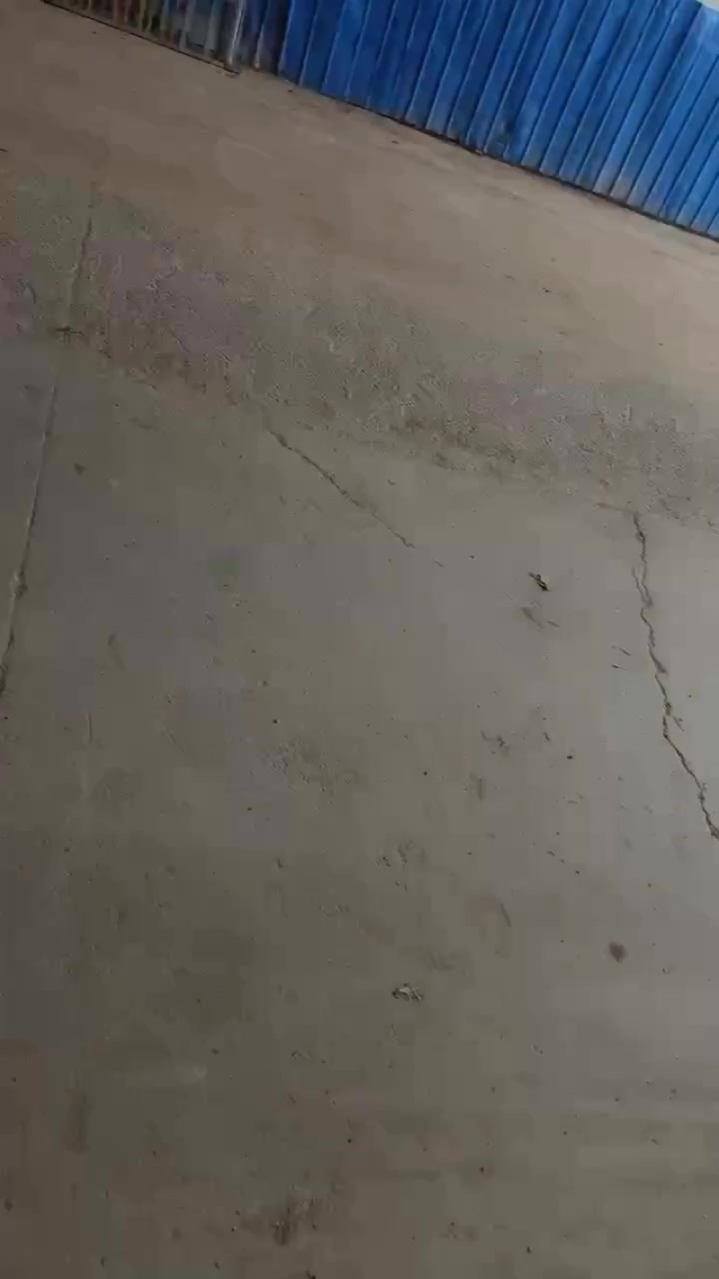 洋葱
