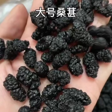 桑葚