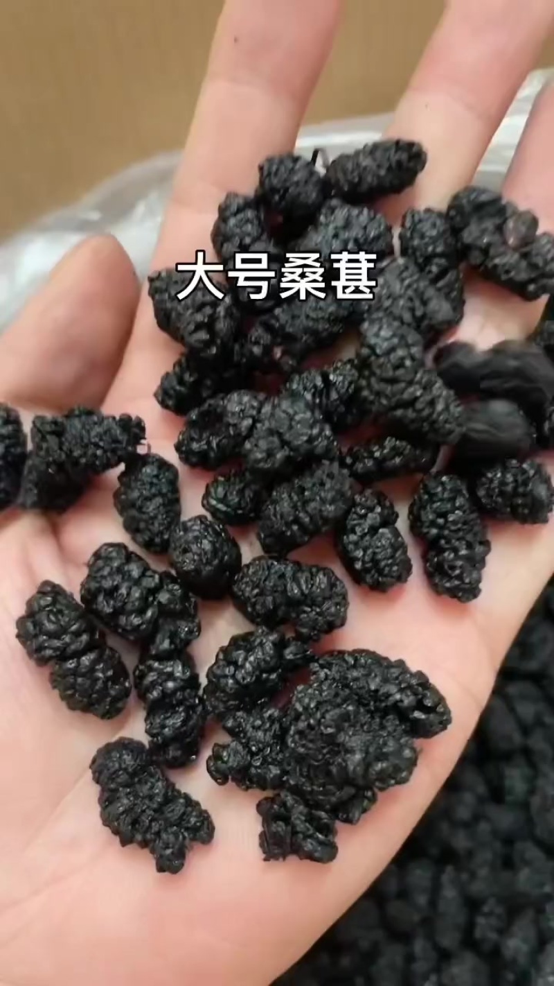 桑葚