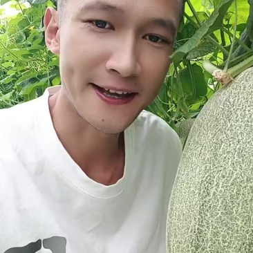 小蜜25