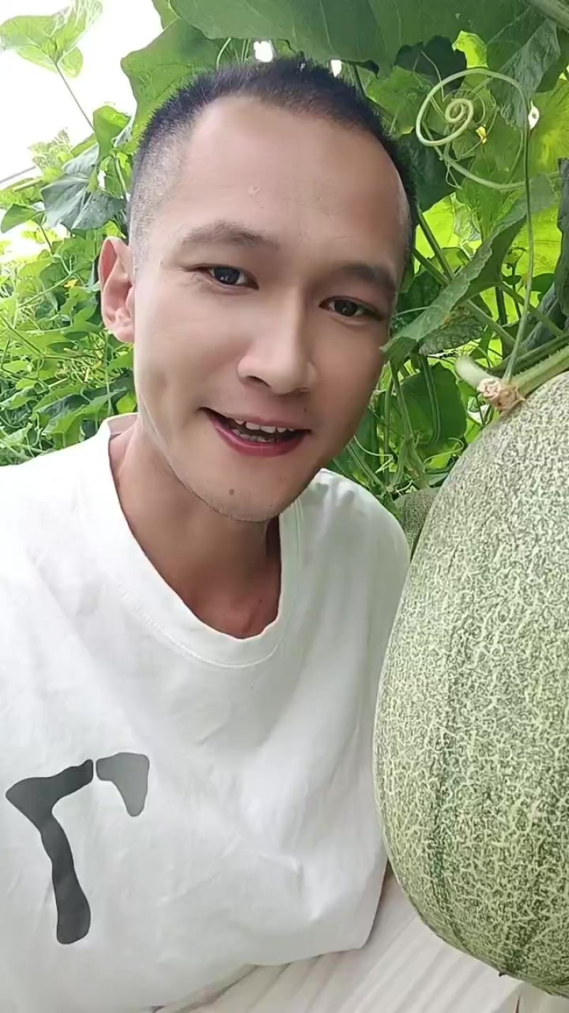 小蜜25