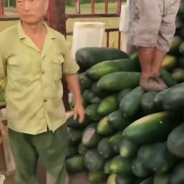 需要的来