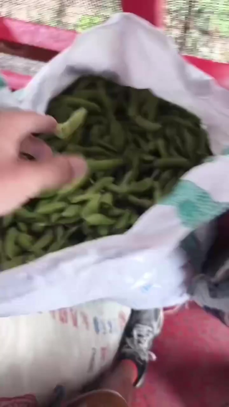 打米料