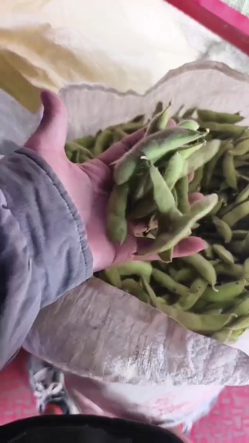 打米料