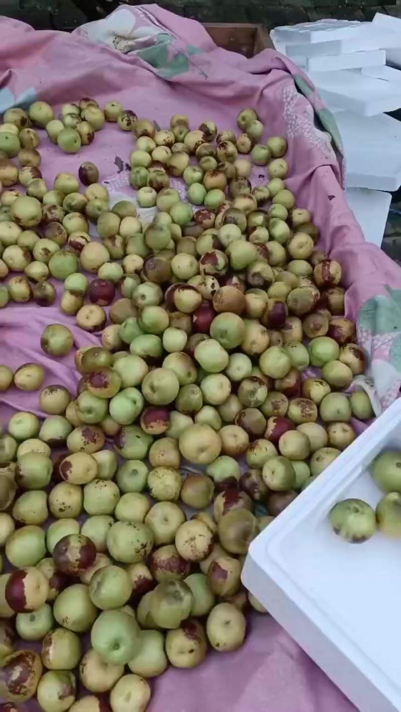 精品二代