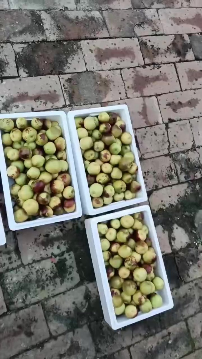 精品二代