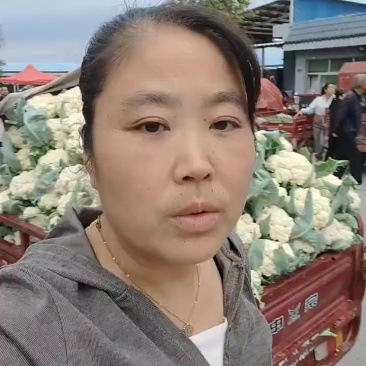 有机菜花