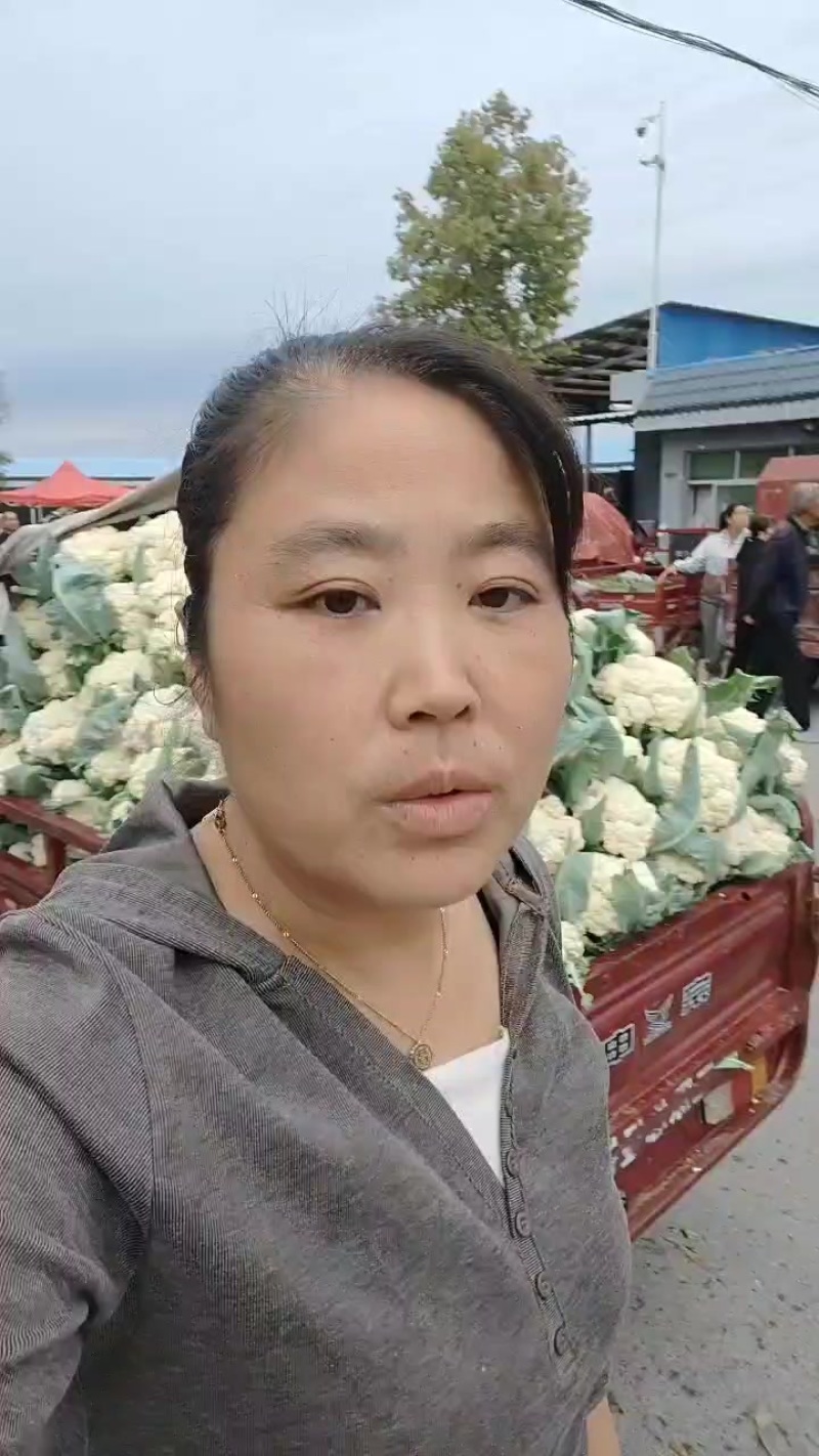 有机菜花