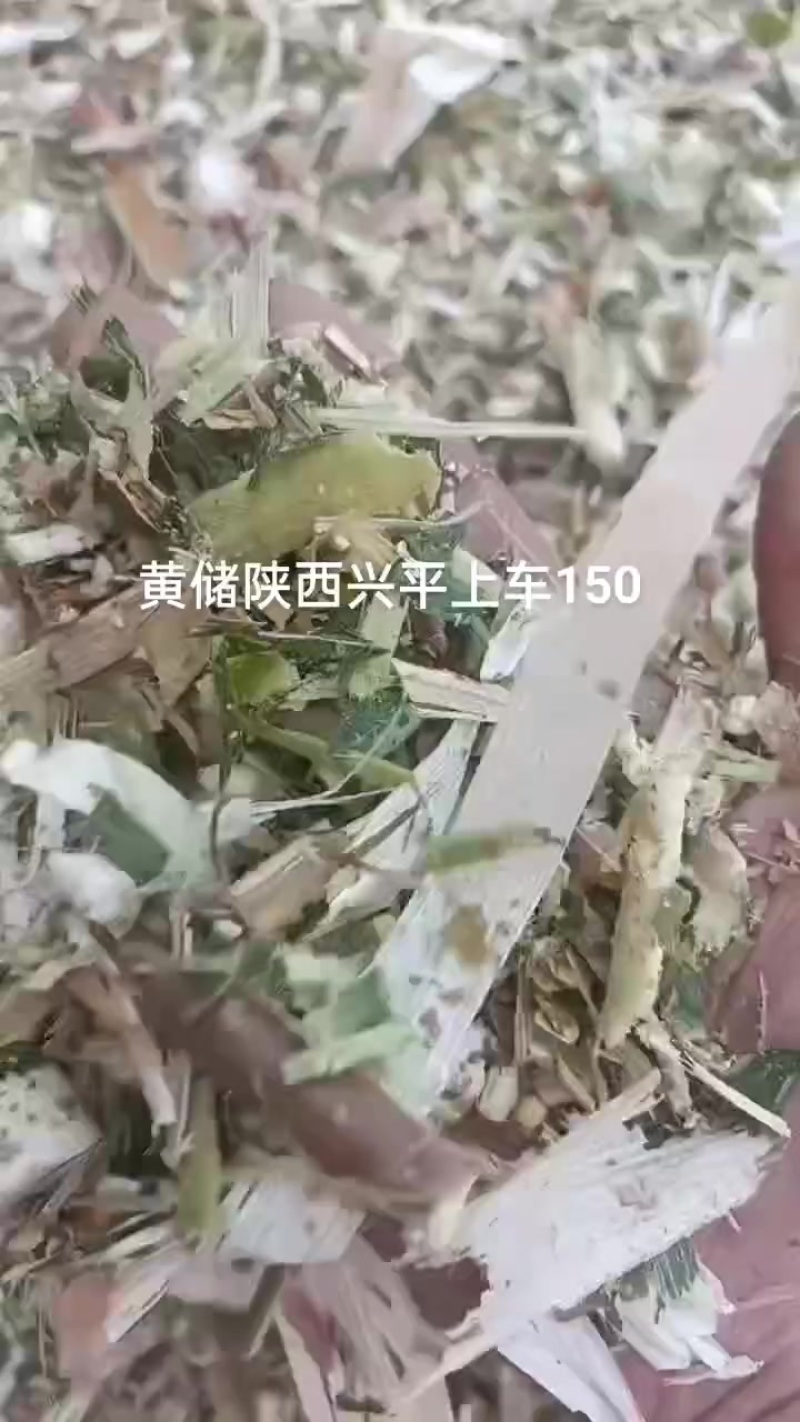 散装黄储
