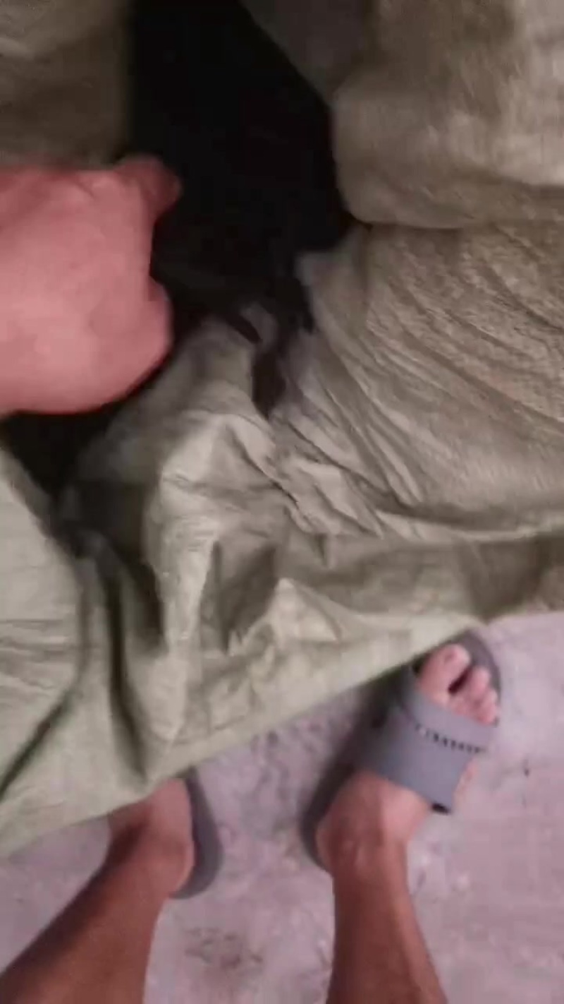 骨碎补