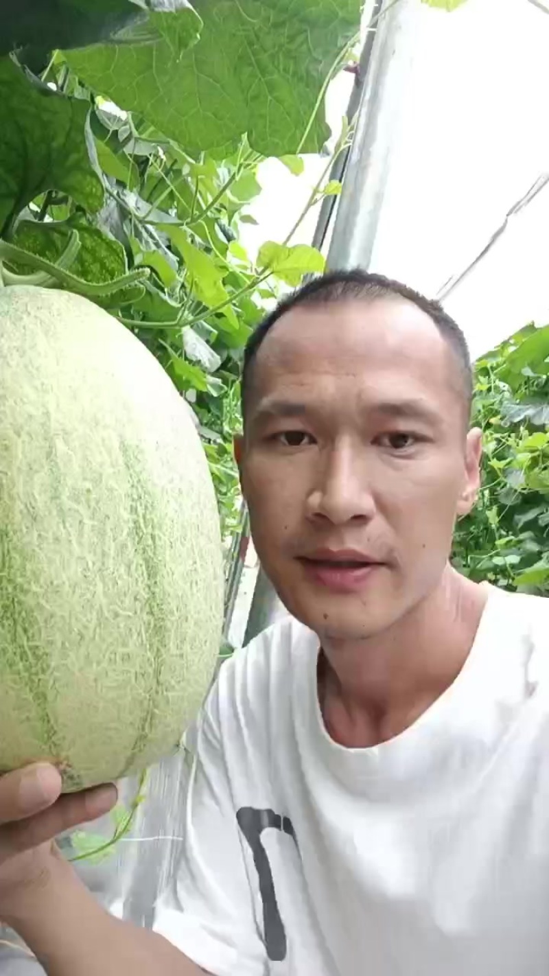 小蜜25