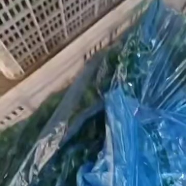 辣椒