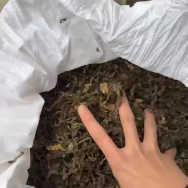 水洗梅干菜，电商，超市，批发市场，大量供应，干度8成