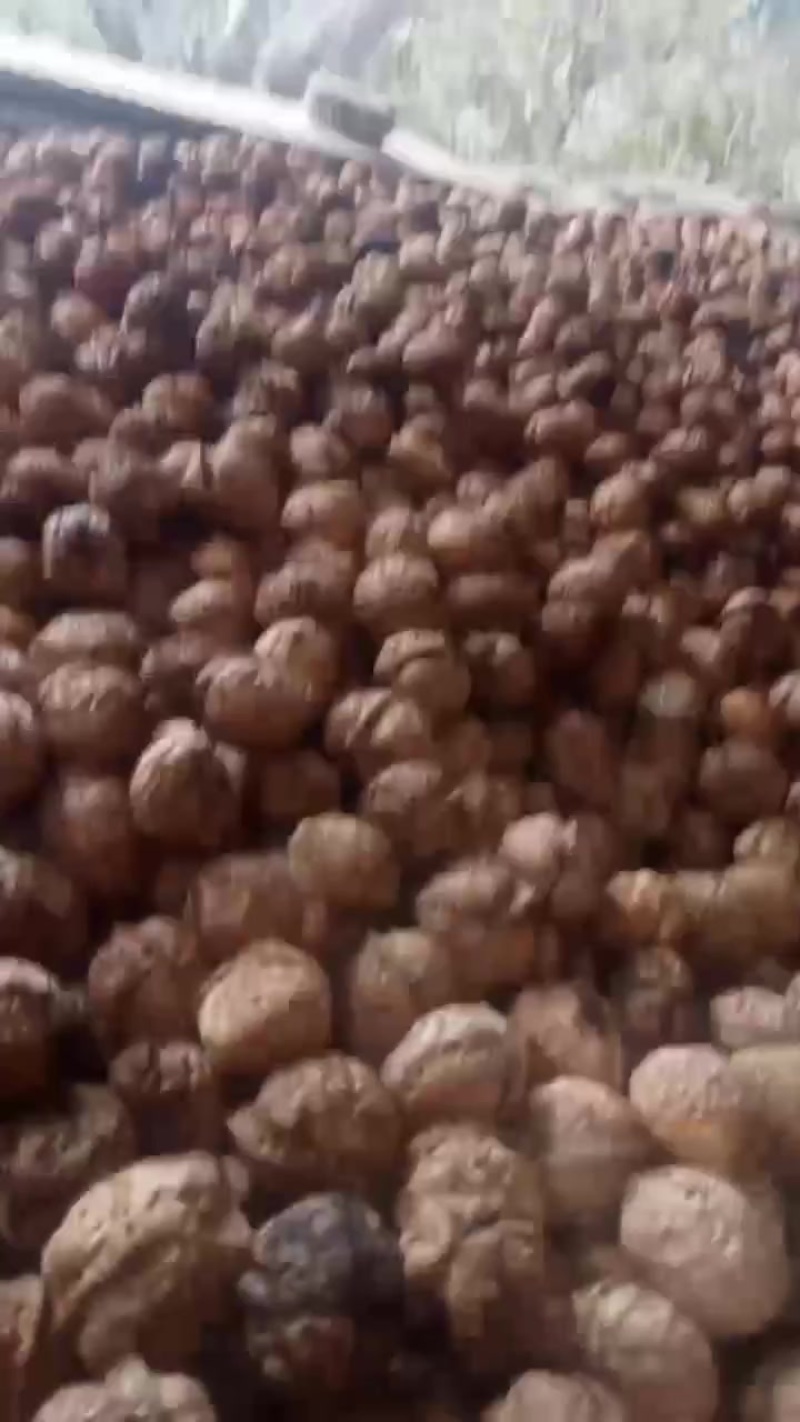 云南临沧1800海拔烤干核桃，富含高营养高蛋白