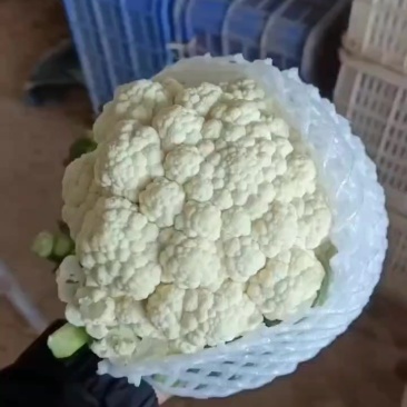 有机菜花