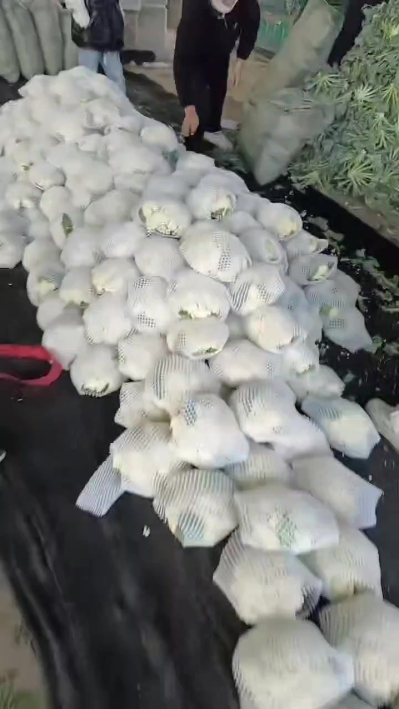 有机菜花