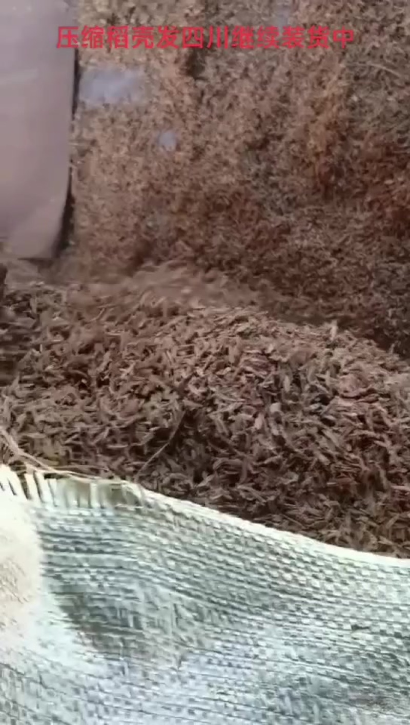 压缩稻壳发四川继续装货中