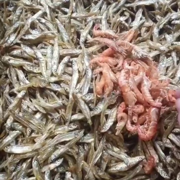 。油炸公鱼夹虾