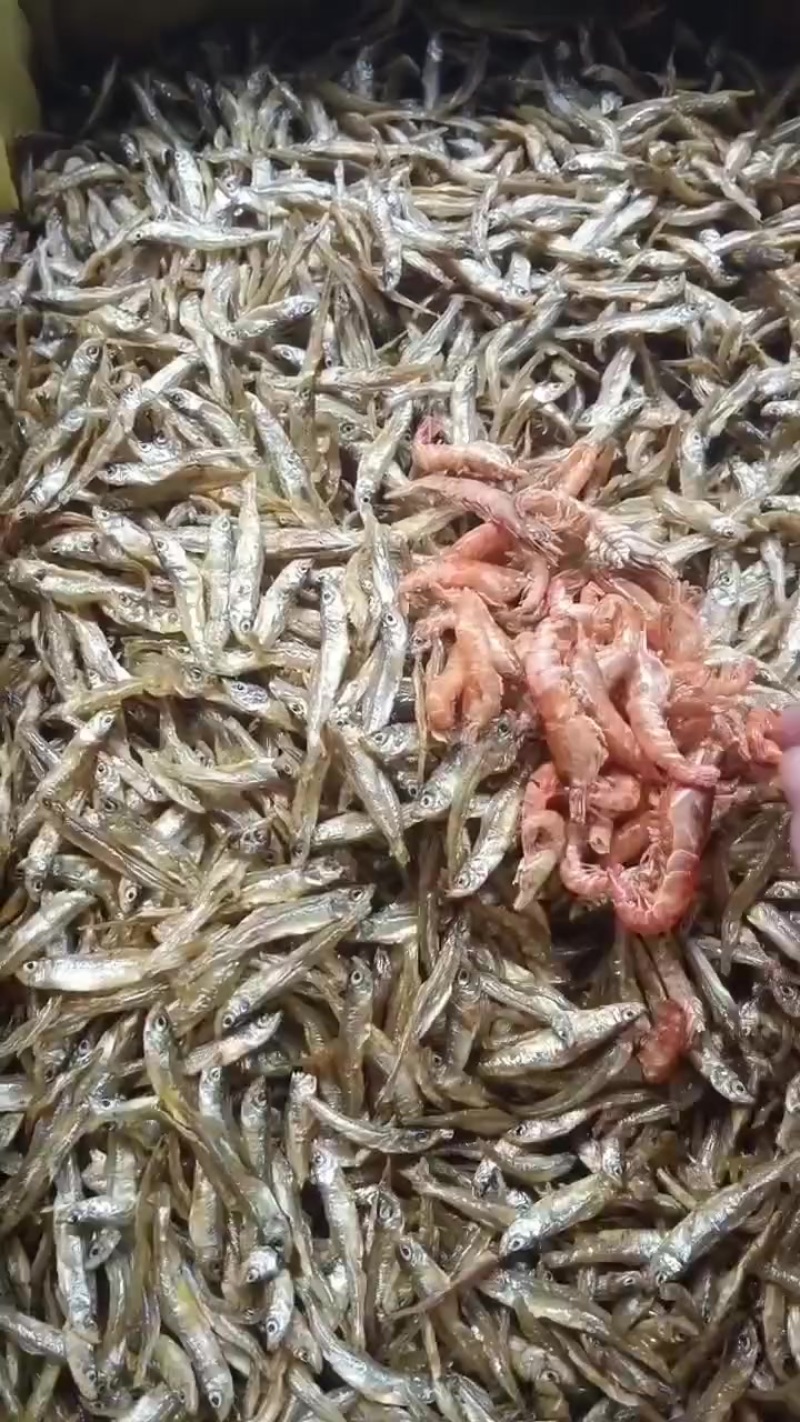 。油炸公鱼夹虾