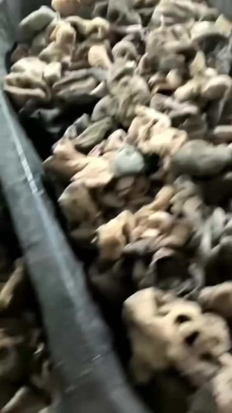 全熟羊肚，冲销量，全熟