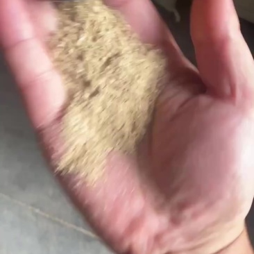 1.2除尘糠验货中