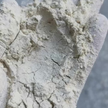 抛光粉填充载体淀粉