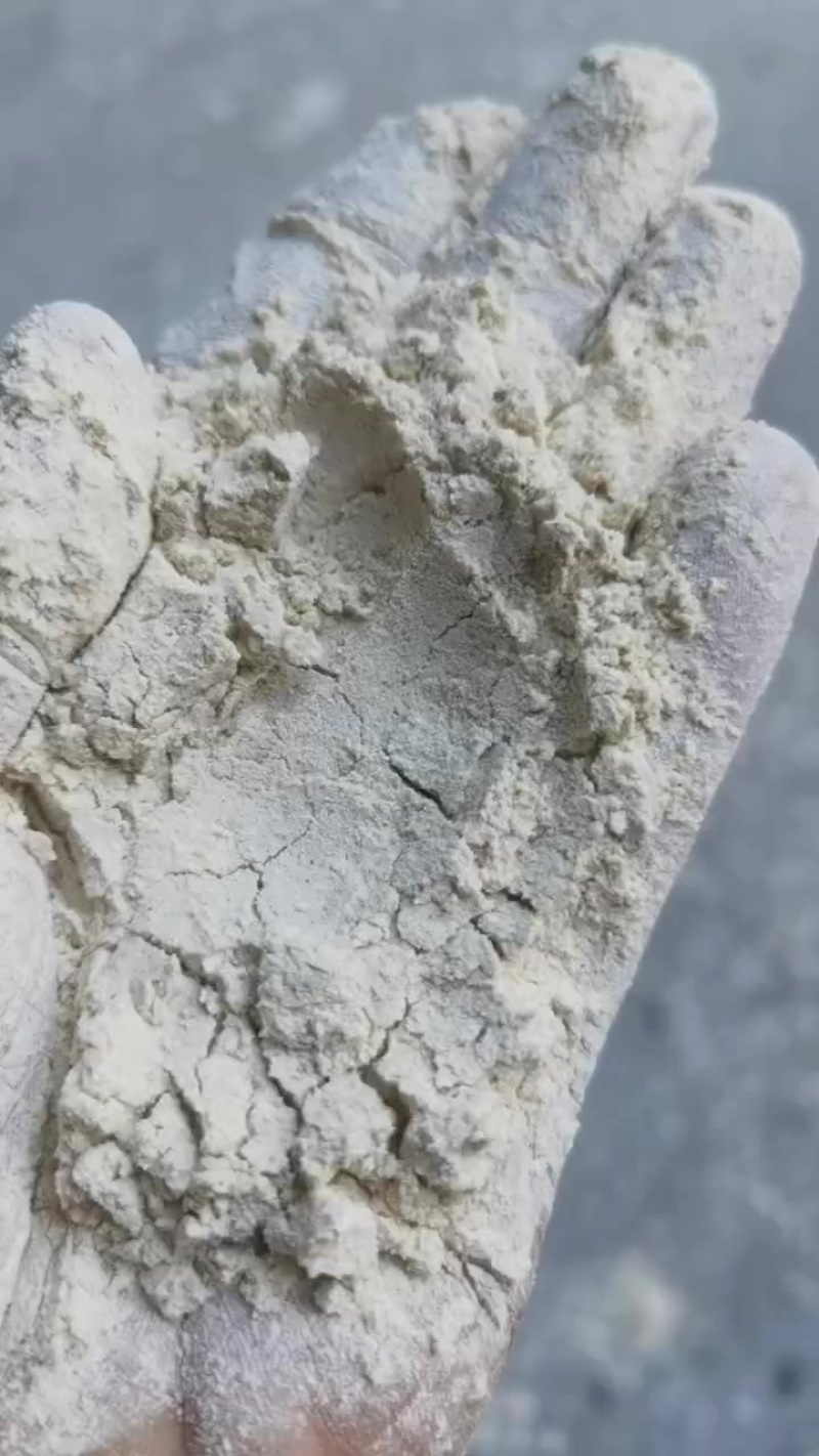 抛光粉填充载体淀粉