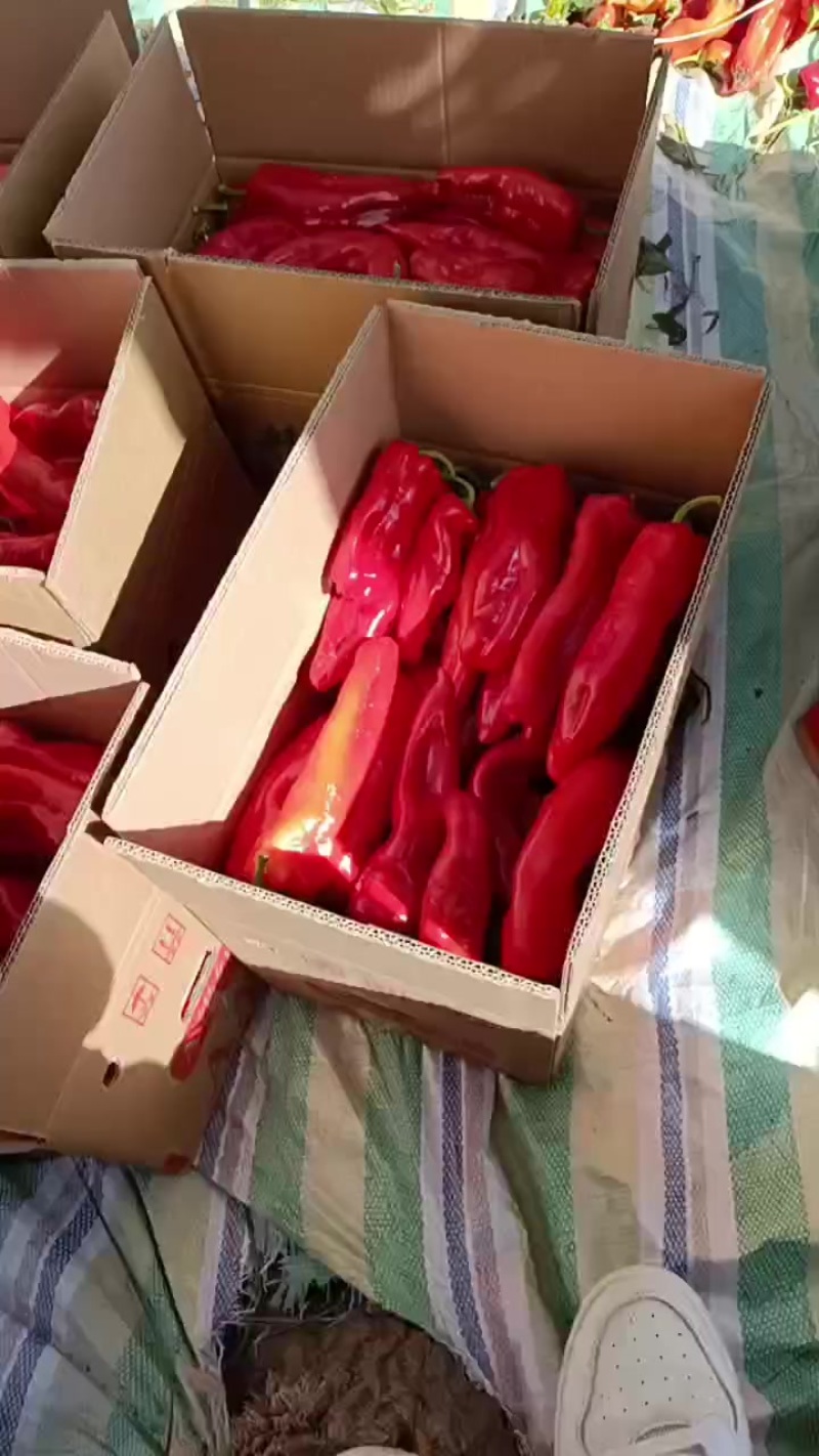 精品