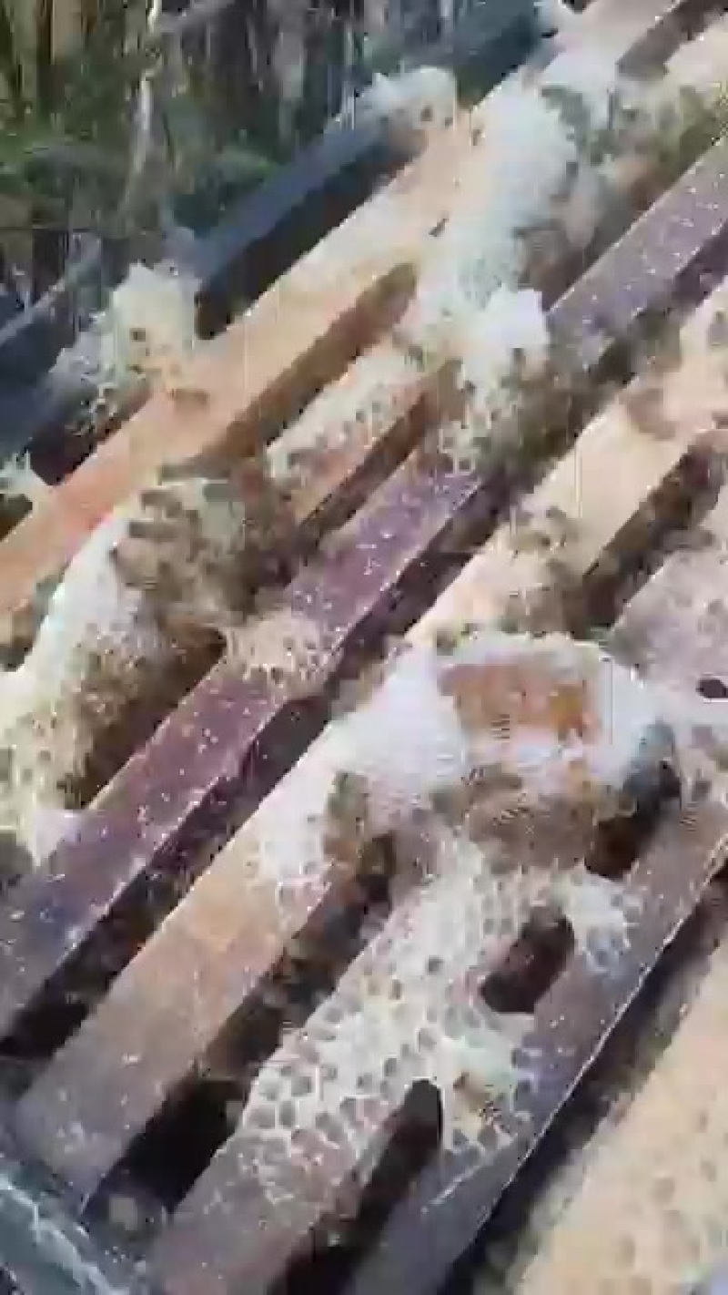 宜丰县纯正土蜂蜜，源自自然，健康美味！